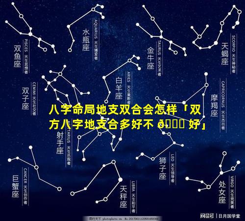 八字命局地支双合会怎样「双方八字地支合多好不 🐋 好」